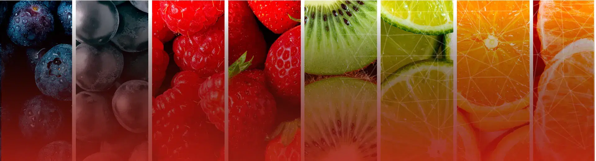 A variety of fresh fruits used in VKA flavour development