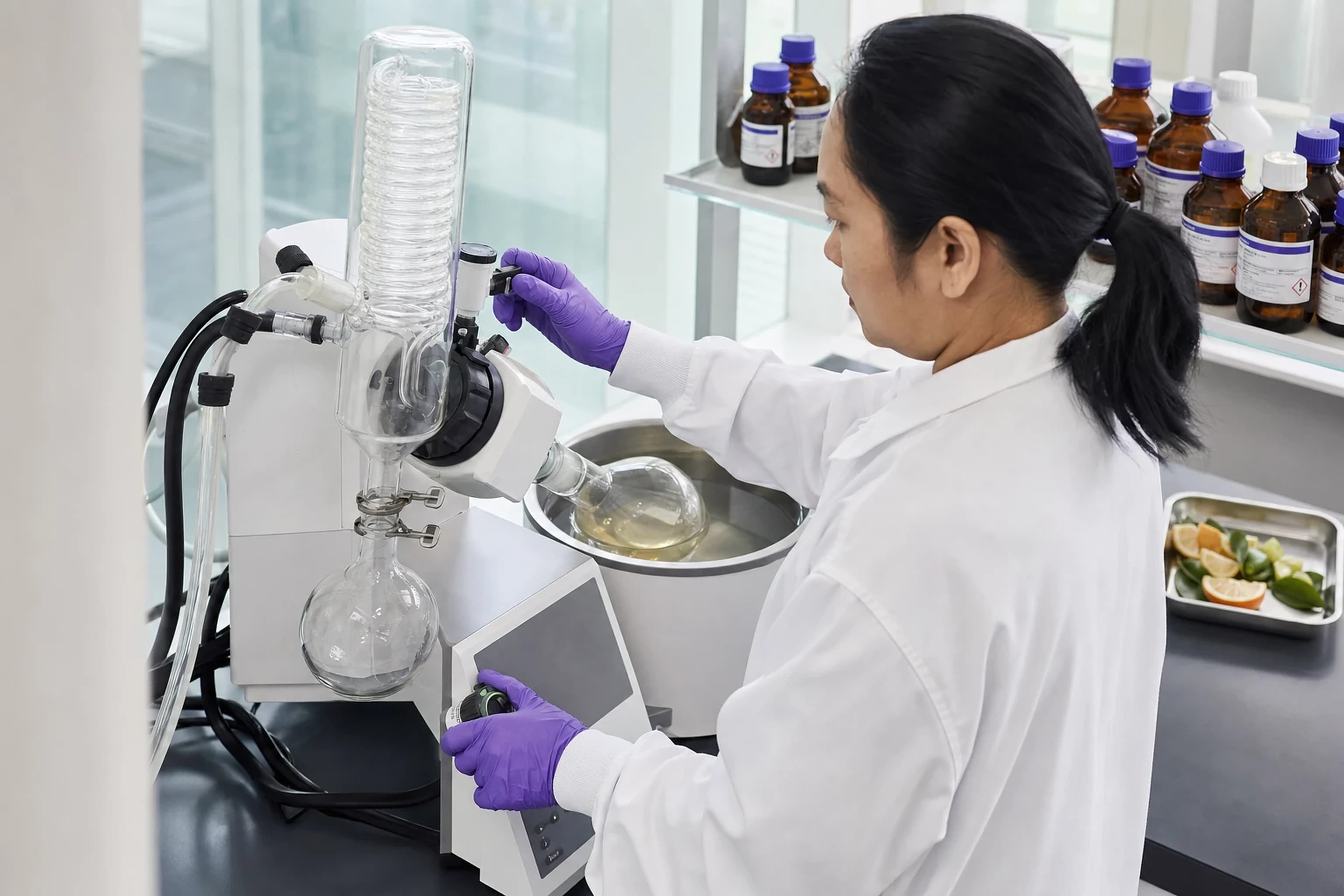 Flavourist operating a rotary evaporator to concentrate a natural extract